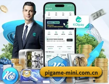 小猪秒玩 APP 深度功能